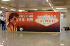 Las Vegas Show