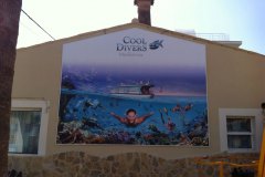 Cool Divers