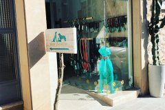 Dogs Paradise